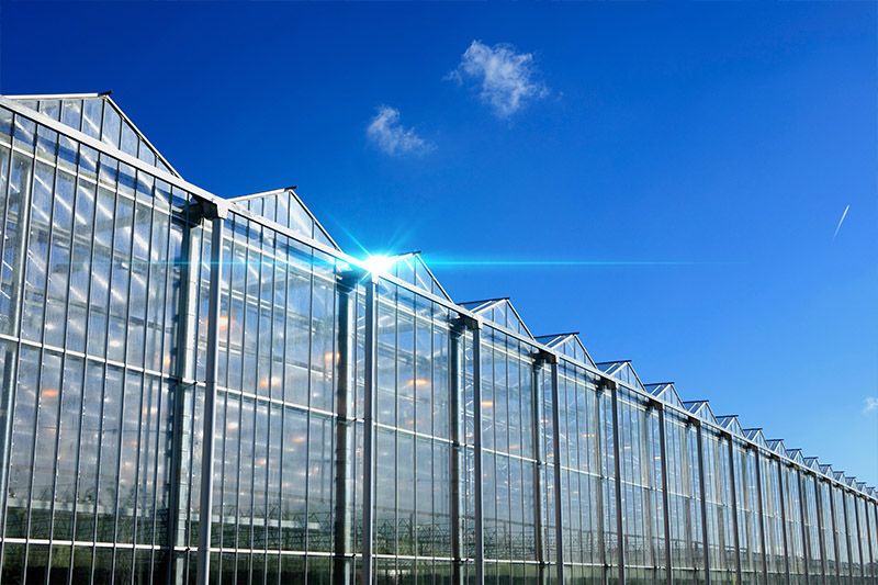 Modern greenhouse project